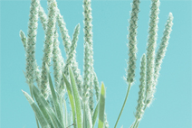 ddos在线攻击平台